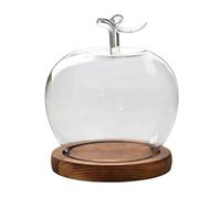Generico Glass Cover For Preserved Flowers Fruit Shape Clear Glass Figurines Dome For Valentine's Day Table Decorations Landscape Display