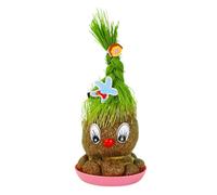 Generico Grass Head Planter - Small Size, Air Purification Accessory