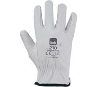 Generico Guanti in Pelle Bovina Bianca, Pollice Alato, Elastico Interno, Taglia 10, Confezione da12 paio