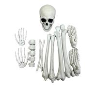 Generico Halloween Bones | Graveyard Skeleton Prop Set | Creepy Bone Props | Haunted House Bones Decor For Backyard Lawn Garden Outdoor