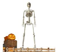 Generico Halloween Skeleton - 35.4 inch | Poseable Yard Decoration