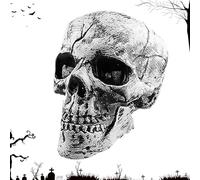 Generico Halloween Skeleton Hands Stakes - Realistic Spooky Yard Prop Set | Realistic Halloween Skeleton Hands Stakes, Spooky Flexible Hand Bones Party Prop, Outdoor Lawn Graveyard Haunted House Decor