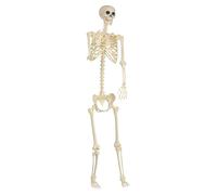 Generico Halloween Skeletons Decorations, Movable Realistic Full-Size Skeleton Decor, Strong and Weather-Resistant, Life-Like Design with Articulated Joints, Outdoor Holiday Display