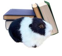 Genérico Hamster Stuffed Animal - Hamster Plush | Realistic Cuddle Cartoon | Small Hamsters Doll Stuffed Toys for Dorm Bedroom Divano Shelf Bedtime Birthday Christmas Kids Teens