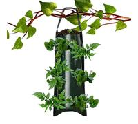 Generico Hangable Tomato Planter - Upside Down Strawberry Grow Bag | Garden Container for Vegetables Chili Flower | 3 Gallon, Breathable Fabric, Patio, Balcony, Backyard, Outdoor, Hooks