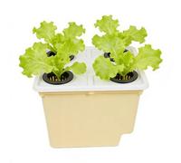 Generico Hydroponic Planter - Soilless Cultivation Growing System Kit, Indoor Vegetable Gardening Supplies for Windowsill, Balcony, Greenhouse, Outdoor Use for Tomato Cucumber Fruit Seedlings