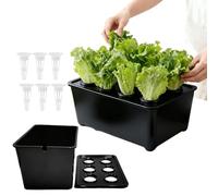 Generico Hydroponics Growing System, 6 Holes Hydroponic Box Kit, Soilless Cultivation Box, Plant Growth Station, Indoor Outdoor Use Nutrient Water Saving Garden Farm Authentic 7.09x4.72in