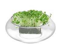 Generico in per coltura - Vaso da fiori grande, per largo e rotondo poco profondo | per Pesce da interno per la casa, scelta perfetta per la decorazione de