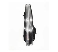 Generico Indicatori Direzione A Led Per Benz Specchietto Retrovisore Sinistro Destro Indicatore Direzione Ausiliario Lampada W205 C180C200 W253 GLC-class Laterali(Sinistra)