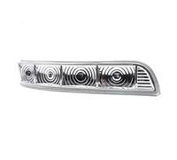 Generico Indicatori Direzione A Led Per Santa Fe Per Santafe Per Veracruz IX55 2007-2012 Specchietto Retrovisore Laterale Indicatori Direzione A LED Lampada Lampeggiante Flash Led(Sinistra)