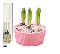 Generico Indoor Hydroponic Gardens - Hydroponic, Planting Containers, Planting Container for Gardeners Apartment Office Teachers Seniors Beginners Indoor Windowsill Kitchen Living Room Bedroom