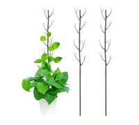 Generico Indoor Plant Support - 3 Pieces Plant Vertical Growth Stackable Pillars | 100x12cm Outdoor Vine Stakes - Aesthetic Support for Indoor Outdoor Garden Pots Flowers Vine Ivy Pothos Peas Peppers