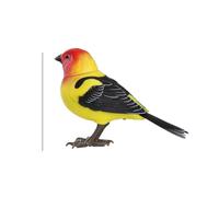 Generico Interactive Bird Toy - Realistic Talking Parrot Electronic Sound Control Toy | Cute Moving Artificial Singing | For Kids Desktop Electric Pet Home Decoration, 1 Pack