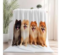 Generico Invernale Coperta in Flanella di Pile 70x100 cm - Morbida e Calda Microfibra Coperta con Stampa Animale Volpino Di Pomerania, Bianco Coperte in Peluche per Divano Sedie Letto