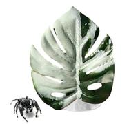 Generico Jumping Plants - Spider Decor for Pets, Realistic House Figure with Suction Cup Fun Display Feature, Easy Stick Function Terrarium Decor Tool, Spider Accessory for Greenhouse Use 4.33 In