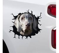 Generico Kit 1 Adesivo Vinile Weimaraner Bracco di Weimar Cane Segugio Grigio Accessori Decalcomanie Divertenti Auto Camion pareti Computer Camper cod. 2374 (Carrozzeria, cm 27x24)