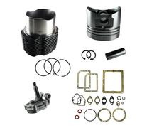 Generico Kit Cilindro e Pistone + Pompa Olio + Serie Guarnizione Completa e Paraoli Compatibile per Motore Lombardini Diesel 6ld 400 per Motozappa e Motocoltivatore