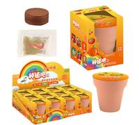 Generico Kit da Giardino per Bambini al Coperto,Scatola da Giardinaggio per Semi | Mini Fiori E Verdure Osservazione Fai da Te Fiori in Vaso, Scienza 'Asilo E Regalo di Prima Educazione