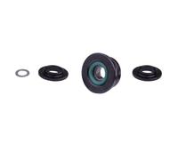 Generico Kit Rullo Passafilo SIC con Cuscinetto in Acciaio Inox e Anelli Impermeabili, per Daiwa Lexa,Legalis,Exceler,Revros CS, Emeraldas,Fuego LT Spinning Reel LT (DW-D3(NSK))