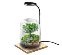 Generico Lampada da scrivania a LED - Lampada a LED rotante, Coltivazione di acquari e terrari, Display da scrivania per studio domestico, a USB, Luce per piante da tavolo, Apparecchio per uffi