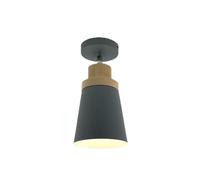 Generico Lampada da soffitto nordica vicina alla lampada da soffitto moderna semplice Lampada da soffitto moderna regolabile for cucina camera da letto corridoio(Gray)