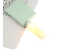 Generico LED Flame Effect Light Bulb - USB Rechargeable Fireplace Light, Realistic -like Lantern, Energy-Saving Flame Effect Lamp | Compact Design For Home, Camping, Atmosphere Lighting, Room