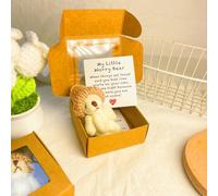 Generico Little Bear in Box, Handmade Mini Plush Teddy Bear in Box, Handmade Mini Plush with Inspirational Card and, Emotional Uplifting Support Pocket Hug Animal Positive Gifts (White)