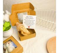 Generico Little Bear in Box, Handmade Mini Plush Teddy Bear in Box, Handmade Mini Plush with Inspirational Card and, Emotional Uplifting Support Pocket Hug Animal Positive Gifts (Brown)