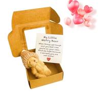 Generico Little Bear in Box, Handmade Mini Teddy Bear in , Handmade Mini Bear in , Emotional Support Plush Positive Gifts for Christmas and Valentine's Day (Brown)