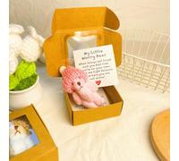 Generico Little Bear in Box, Handmade Plush Bear with Inspirational Card, Motivational Gifts for Lovers, Christmas and Valentine's Day & Mother's Day (Pink)