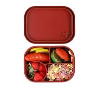 Genérico Lunch Box - Food Container | Portable Lunch Box | Silicone Lunch Box | Reusable Silicone Food Storage Containers 4 compartments Silicone Lunch Box With Dividers Salad Lunch Box For Daily Use