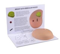 Generico Manichini per modello di seno in silicone per il corpo umano, seno con modello anatomico per cancro, manichini per autotest del seno con grumi patologici