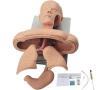 Generico Manichino avanzato di intubazione nasale Orale, addestratore di Gestione delle Vie aeree del manichino di intubazione, simulatore del Dispositivo di Allarme del Dente