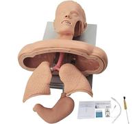 Generico Manichino avanzato per intubazione nasale orale, allenatore per la gestione delle vie aeree, con simulatore di dispositivo di allarme per denti, insegnamento della testa per intubazione