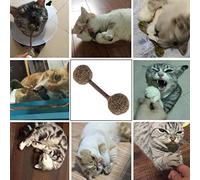 Generico Manubri di Catnip, Bastoncini per la Pulizia dei Denti di Gatto, Giochi interattivi con Palline Divertenti NovitàProfessionale e alla Moda