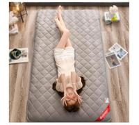 Generico Materasso Giapponese da Pavimento Portatile Tappetino Futon Tappetino per Tatami Tradizionale Materasso Pavimento Pad Materassino da Campeggio per Dormitorio Studentesco(Gray,180x200cm)