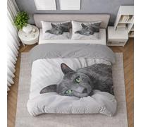 Generico Microfibra Morbida Set Copripiumino Grigio, Copripiumino Singolo 155 X 200 cm Animale Gatto Grigio Matita, Biancheria da Letto confortevole, Leggera e Traspirante, per il riposo quotidiano
