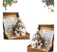 Generico Mini Bunny Hug Cute Easter, Handmade Bunny Hugs in Box, Pocket-Sized Comfort with Knit Hat & Gift Box, for Friends Family (2PCS-K+K)