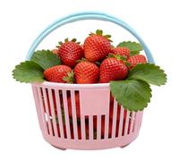 Generico Mini Cestino - Contenitore Cavo Portatile Con Maniglie | Cestino Per La Raccolta Della Frutta - Per Casa Scuola Asilo Bagno Cucina Giocattoli Frutta Cancelleria Cosmetici