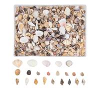 Generico Mini Conchiglie Decorazione per Candele