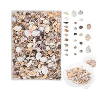 Generico Mini Conchiglie Decorazioni Acquario | Mini Conchiglie e Stelle Marine Per Hobbisti Principianti Adulti Bambini Insegnanti d'Arte Artisti Acquari e Vasche Vacanze