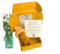 Genérico Mini Peluche - Mini con Carta | Regali Di Supporto Emozionale per Famiglie E Amici Decorazione Desktop | per La Graduazione Madre Bambino Shower Cura