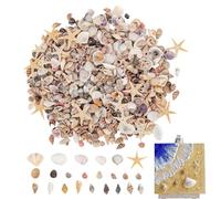 Generico Mini Sea Shells - 1000 PCS Mixed Shells & Tiny Seashells | 20 Assorted Types