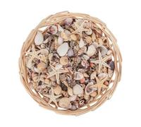 Generico Mini Seashells - Tiny Shells & Seashells Mix | 1000 Pieces