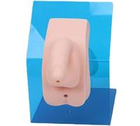 Generico Modelli anatomici dei genitali interni ed esterni, modello per pratica del catetere, modello genitale per cateterismo urinario per educazione e formazione,Male