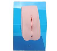 Generico Modelli anatomici dei genitali interni ed esterni, modello per pratica del catetere, modello genitale per cateterismo urinario per educazione e formazione,Female