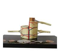 Generico Modello Anatomico del Nervo del Midollo Spinale, 5X Nervo Spinale Umano, Modello Parziale di Midollo Spinale Vertebrale, Rami Nervosi, Ganglio Spinale e Vasi Sanguigni per Insegnamento