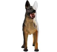 Generico Modello di anatomia del cane 4D, modello di anatomia dello scheletro del cane lupo, 29 pezzi organi staccabili parti del corpo per la dimostrazione di insegnamento animale