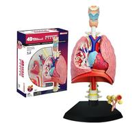 Generico Modello di Anatomia del polmone Umano, Modello del Sistema respiratorio 4D, 21 Parti Staccabili, Giocattolo di Montaggio del Puzzle, Modello di insegnamento, 11,4 * 10,6 * 20cm