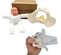 Generico Modello di Bacino per Dimostrazione del Parto - Mini Bacino Femminile e Modello di Bambino con Articolazioni Mobili, Ideale per la Formazione e l'Educazione Ostetrica